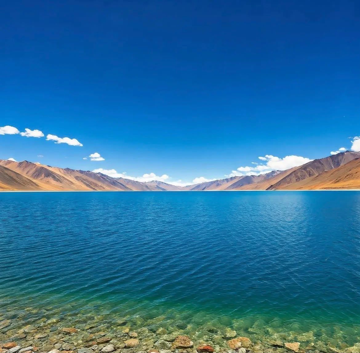 Leh Ladakh Nubra Pangong