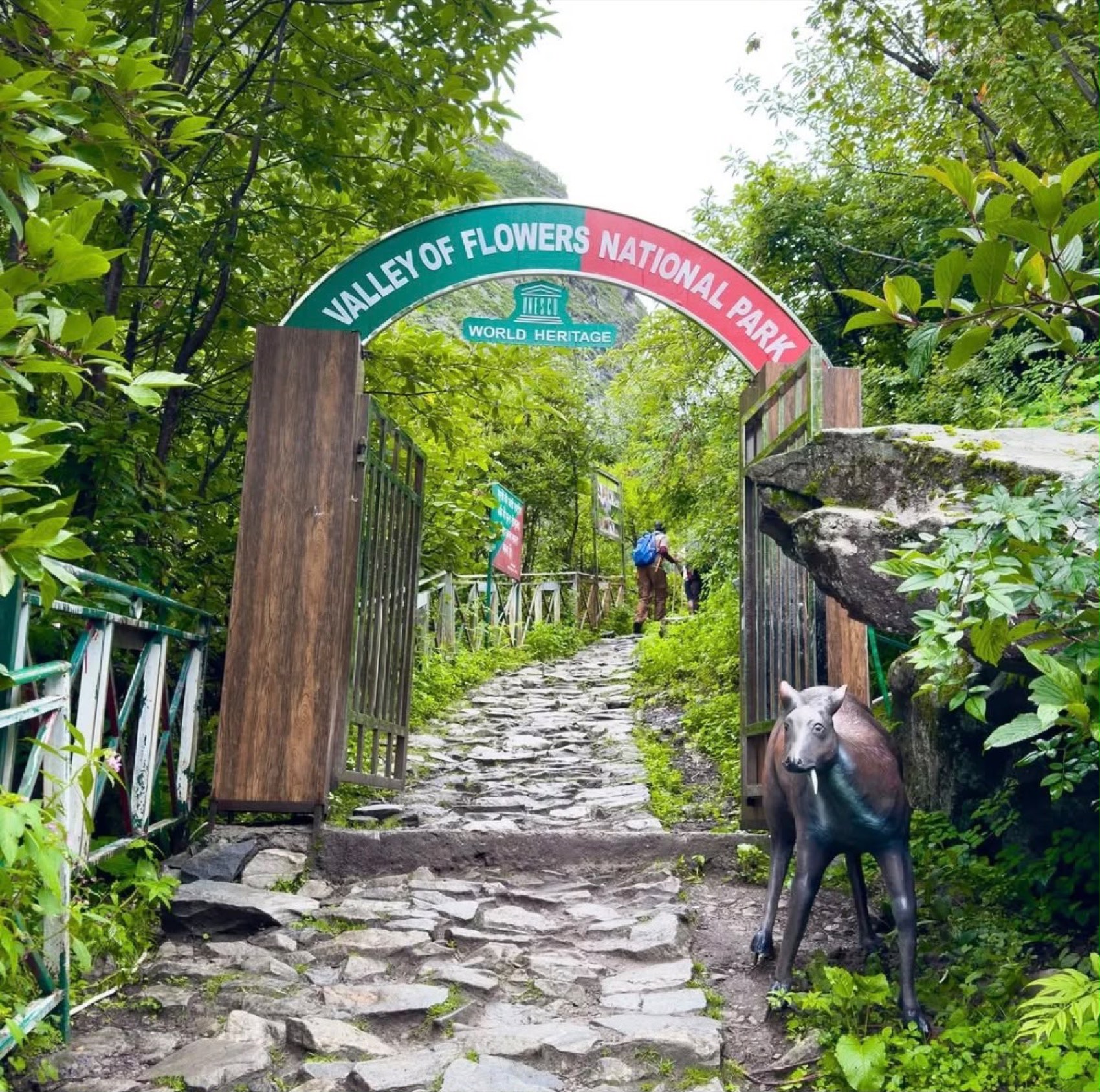 Valley of Flowers